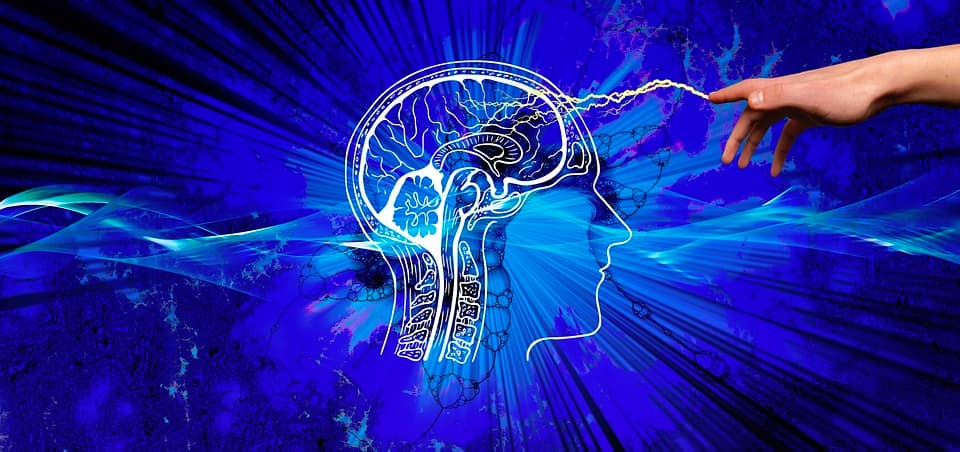 Unleashing the Power of E-Commerce and Entertainment